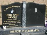 image of grave number 851309